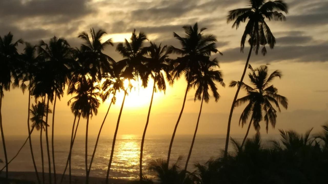 Afiki Hotel Elmina Exterior photo